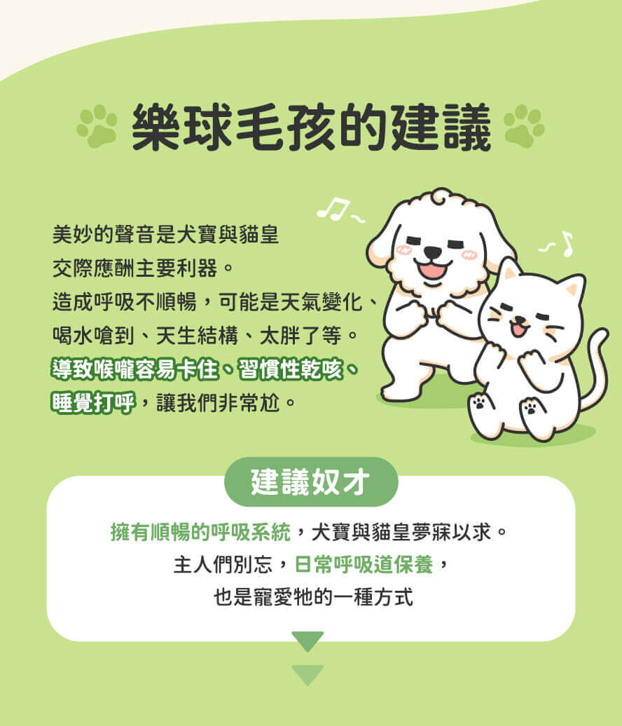 主人們！毛孩的呼吸系統日常保健很重要。